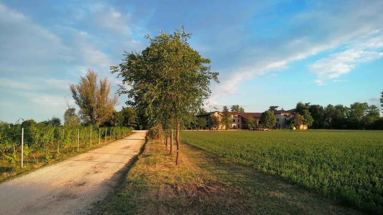 Agriturismo Alle Albare Montorio Veronese Exterior photo